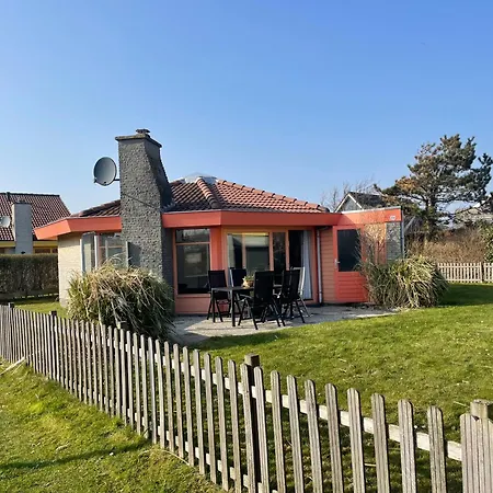 Zeester 339 * Julianadorp